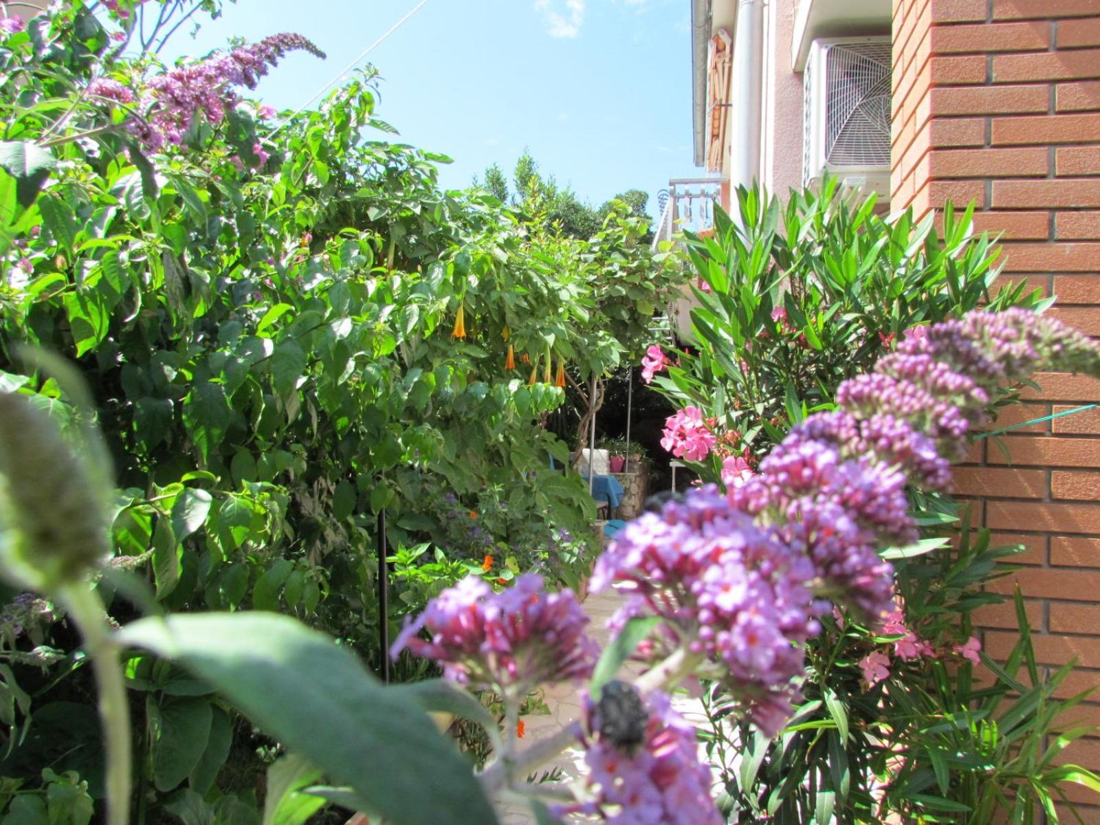 Apartments Bura & Jugo, Cres, Without Stress Exterior photo