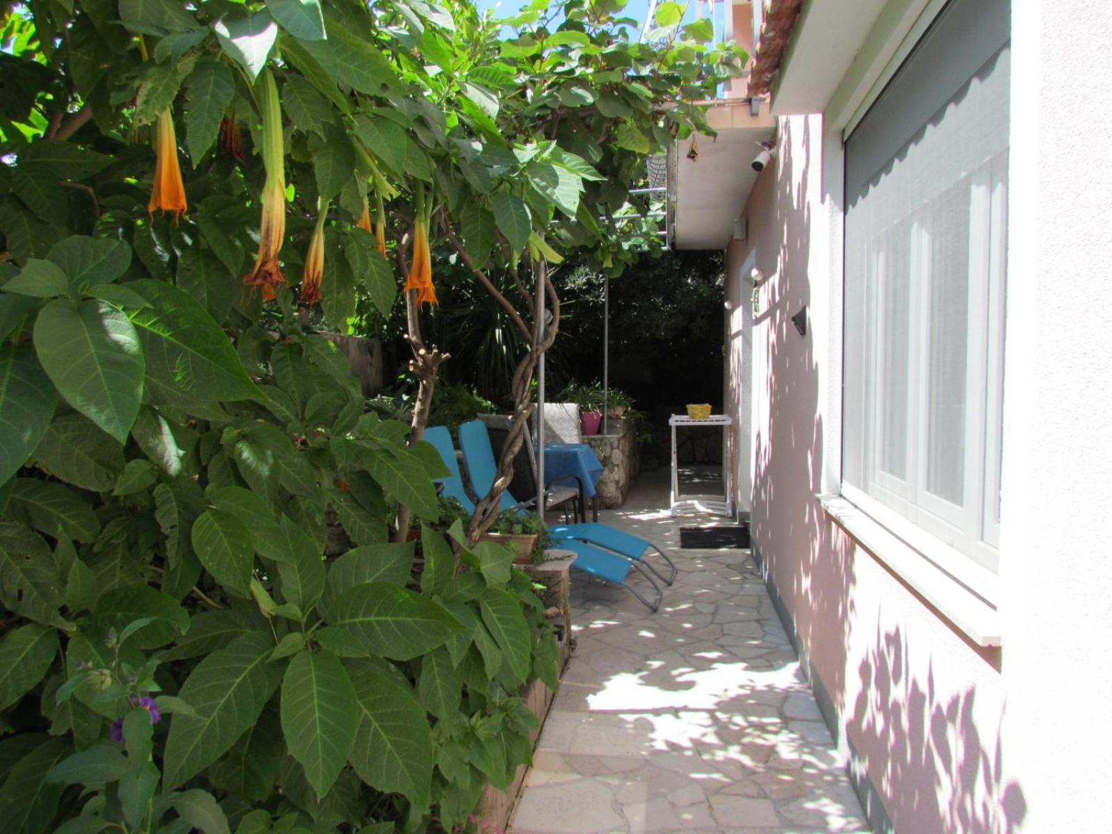 Apartments Bura & Jugo, Cres, Without Stress Exterior photo
